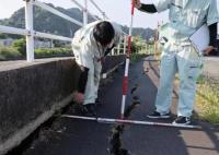 日本南海海槽附近曾數次發生大地震 為什么這么嚴重？