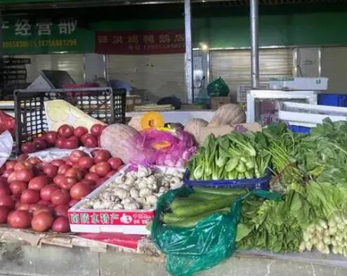 蔬菜價格達近10年同期最高 為什么漲這么多？