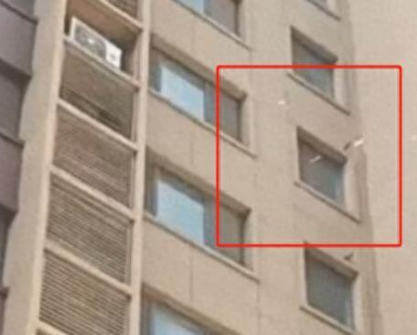 女子高樓撒10萬現金后跳樓?警方回應 為什么撒錢跳樓？