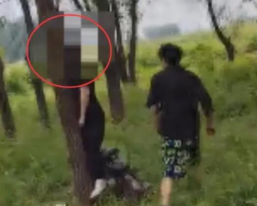 河南一女子在樹林自縊身亡 實在太悲劇了