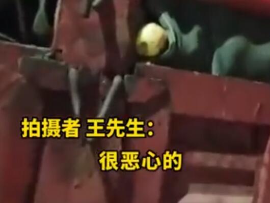 貨車拉爛蘋果進廠榨汁?市監局調查 這也太惡心了