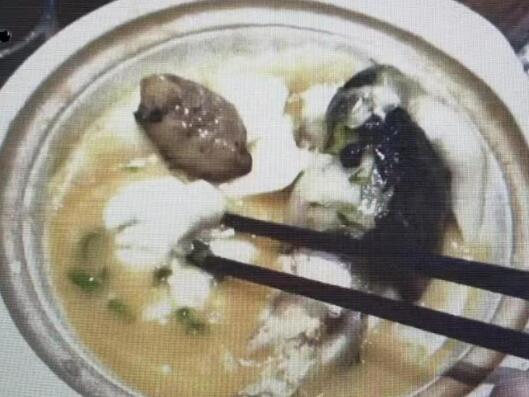 “職業打假人”3天在5家店吃5頓河豚 為什么引爭議？
