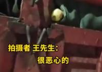 貨車拉爛蘋果進廠榨汁?市監局調查 這也太惡心了