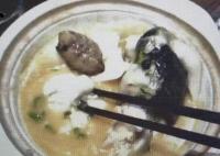 “職業打假人”3天在5家店吃5頓河豚 為什么引爭議？