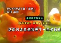 金魚死亡后女子放冰箱冷凍紀念 實在太無奈了