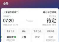客機飛行時發現老鼠 備降蘭州 實在太嚇人了