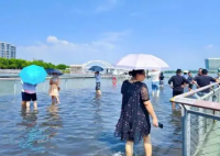 廈門沿海出現天文大潮 實在太罕見了