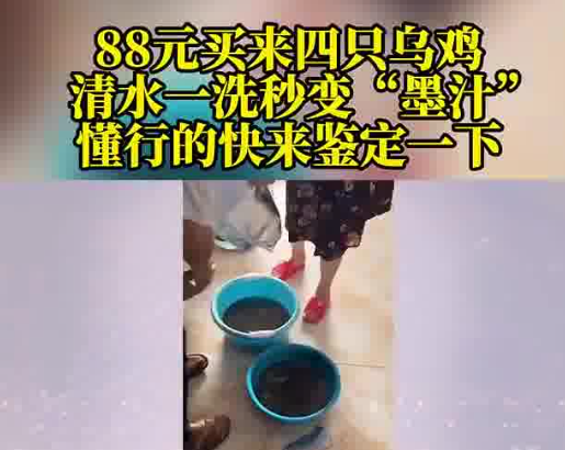 88元網購的4只烏雞洗出一盆黑水 被眼前的情景嚇住了