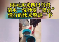 88元網(wǎng)購的4只烏雞洗出一盆黑水 被眼前的情景嚇住了