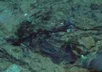 移民船上30具遺體腐爛難以辨認 實在太恐怖了