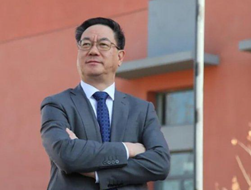 “納米發電機之父”王中林離美回國 事件始末2024最新消息