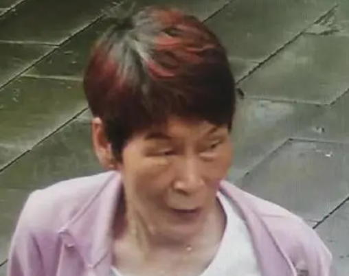 余華英涉拐賣兒童數量增至17人 實在太恐怖了