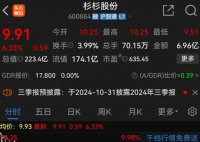 杉杉系深陷資金危機 到底哪里出問題了？