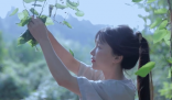 李子柒這數據太卷了 為什么這么火什么原因？