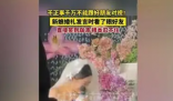 新娘發言時看了眼好友笑到崩潰 究竟是怎么回事？