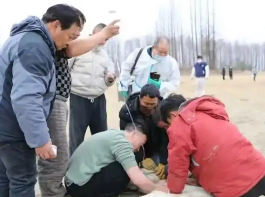 跳江救人的“白龍”馬不幸死亡 到底是怎么死的？