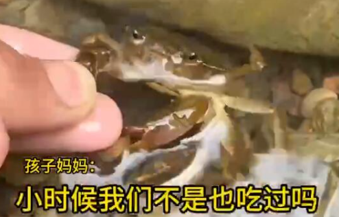 男童生吃蟹腿寄生蟲鉆進心臟 究竟是怎么回事？