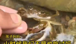 男童生吃蟹腿寄生蟲鉆進心臟 究竟是怎么回事？