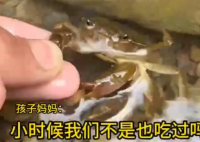 男童生吃蟹腿寄生蟲鉆進心臟 究竟是怎么回事？