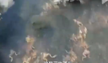 黑龍江一水源地疑遭投毒 警方介入 到底是什么情況？