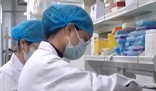 AI用幾滴血就可預測上百種疾病 到底是不是真的？