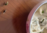 盒馬餛飩疑吃出蟑螂 當地市監局回應 究竟是不是真的？