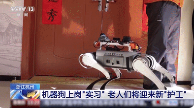 機(jī)器狗的技能值已經(jīng)拉滿了 為什么這么火爆？
