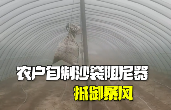 農戶自制沙袋阻尼器抵御暴風 這也太霸氣了