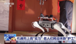 機器狗的技能值已經拉滿了 為什么這么火爆？