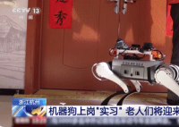 機器狗的技能值已經拉滿了 為什么這么火爆？