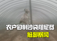 農戶自制沙袋阻尼器抵御暴風 這也太霸氣了