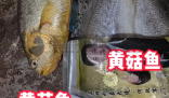 網購黃花魚到手只有包裝是黃的 到底是不是真的？