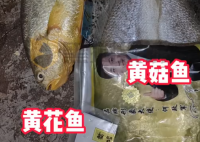 網購黃花魚到手只有包裝是黃的 到底是不是真的？