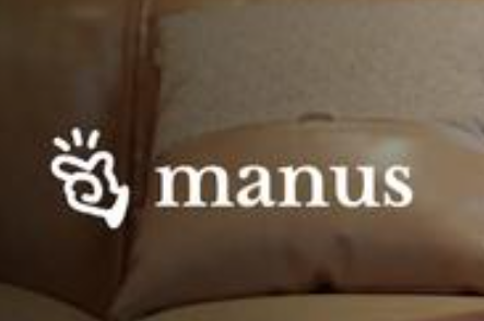 第一波用Manus賺錢(qián)的人出現(xiàn)了 為什么這么火爆？
