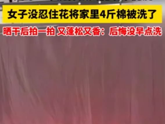 倔強女子花近兩小時洗4斤重棉被 為什么引熱議？