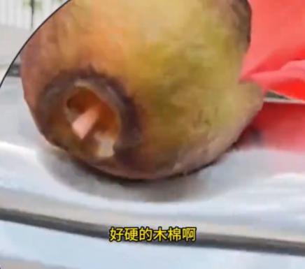 小伙將車停在木棉樹下結果悲劇了 究竟是怎么回事？