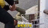 外賣小哥救醒醉酒路人后放聲大哭 實(shí)在太讓人感動(dòng)了