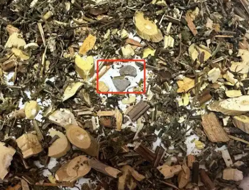網購中藥泡腳包檢出大量病菌 實在太恐怖了