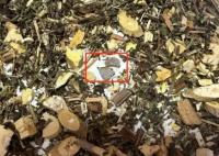 網購中藥泡腳包檢出大量病菌 實在太恐怖了