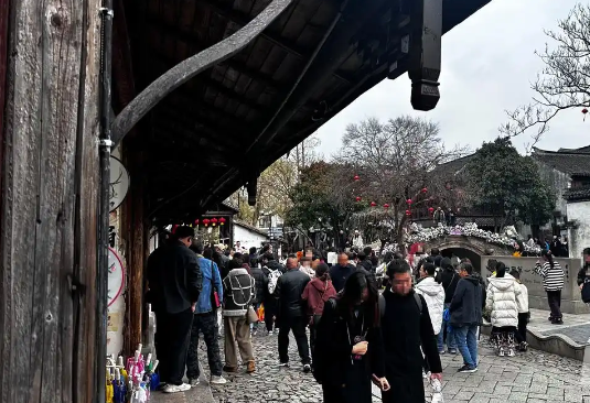 周莊古鎮為何被商戶“看空” 原因竟是這樣太無奈了