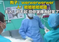 主人帶狗狗做絕育哭聲太慘引圍觀 究竟是怎么回事？