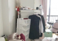 夫妻租房5年妻子多項指標異常 究竟是怎么回事？