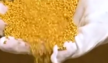 金價狂飆帶火土法煉金 為什么價格上漲這么厲害？