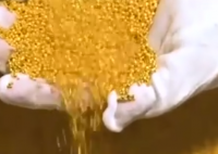 金價狂飆帶火土法煉金 為什么價格上漲這么厲害？