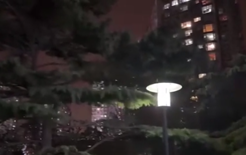 北京極端大風:樹被吹倒 高樓輕晃 實在太恐怖了