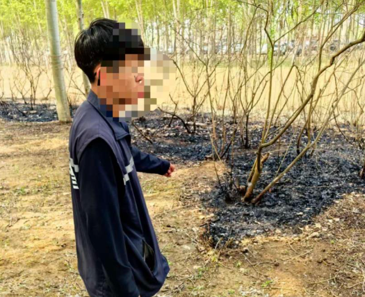 男子點燃楊柳絮引發(fā)火情被行拘 事件始末2025最新消息