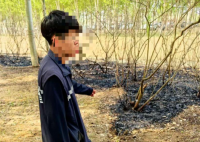 男子點燃楊柳絮引發火情被行拘 事件始末2025最新消息