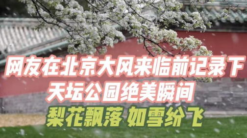網友展示大風前天壇公園的絕美瞬間 到底是什么樣的？