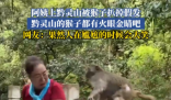 大媽逗黔靈山猴子玩被抓掉假發 實在太搞笑了