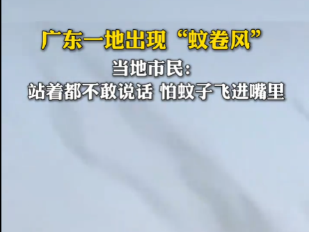 廣東一地蚊子聚集飛舞似龍卷風 實在太罕見了